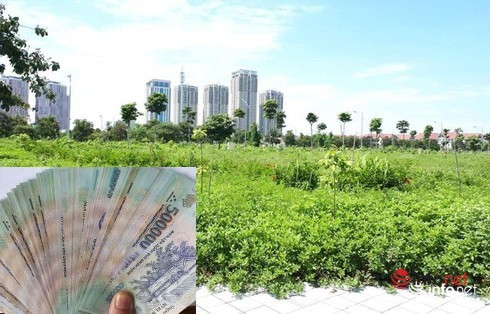 Tình trạng khai gian giá chuyển nhượng nhà đất hiện nay vẫn khá phổ biến dù trong nhiều văn bản gần đây